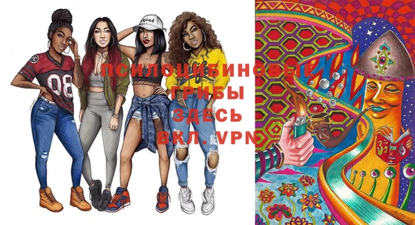 дурь Гусь-Хрустальный