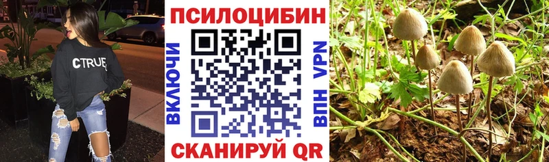 Галлюциногенные грибы Cubensis  гидра   Дубна  купить наркотики сайты 