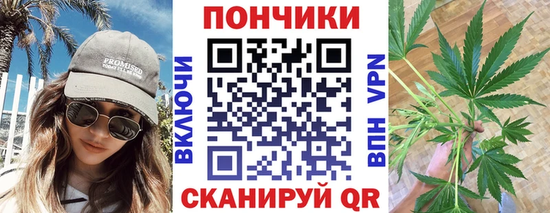 Канабис гибрид  Дубна 